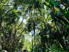 -中国科学院西双版纳热带植物园