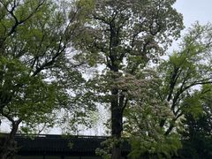 -苏州文庙(姑苏区)