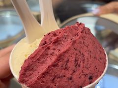 -Dip in Gelato(富民路店)