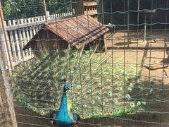 -意大利农场度假村