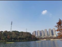 -重庆彩云湖湿地公园