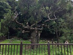 -草庵摩尼教遗址公园