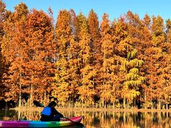 -上海海湾国家森林公园