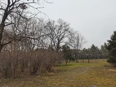 -秦始皇帝陵博物院(兵马俑)