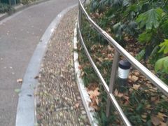 -华山儿童公园