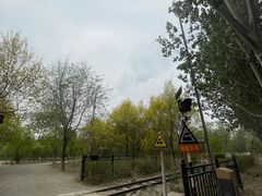 -西青郊野公园