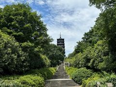 -宜兴龙背山森林公园