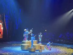 -珠海横琴长隆《卡卡虎奇遇记》