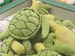 -紫荆广场·花漫里