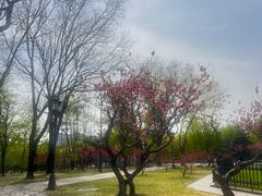-玲珑塔公园
