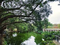 -人民公园(罗湖区)