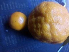 -仲雅水果大卖场(仲雅苑店)