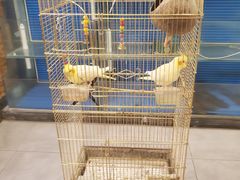 -潇湘·永州会馆(百子湾店)