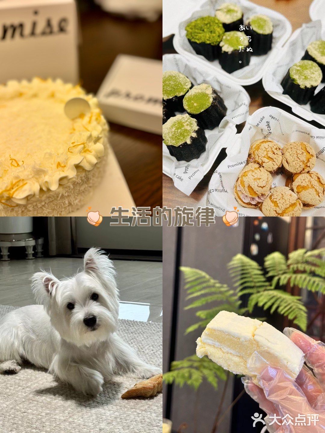 甜蜜蛋糕时刻 🍰🎂