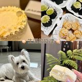 甜蜜蛋糕时刻 🍰🎂