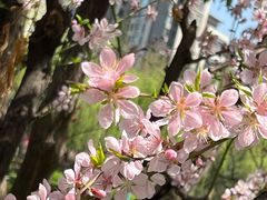 -木塔寺遗址生态公园