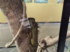 -昆山招商花园城