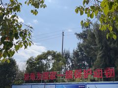 -广东惠东海龟国家级自然保护区