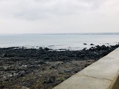 -涉地可支