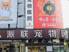 -派联宠物医院·24h·CT·异宠