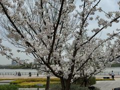 -龙美术馆(西岸馆)