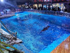 -海合安青岛极地海洋公园