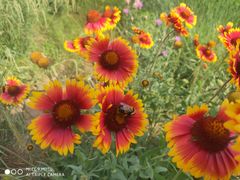 -敕勒川草原文化旅游区