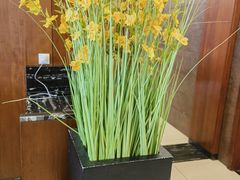 -澳洲肥牛火锅(转盘路店)