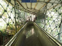 -众神白水涧景区