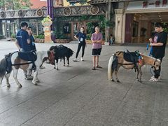 -杭州乐园