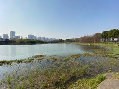 -尚贤河湿地