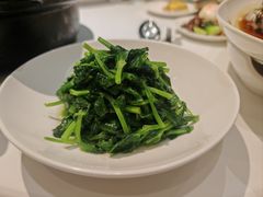 高山豆苗-南麓·浙里(外滩店)