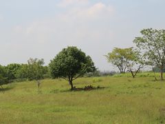 -良渚文化村
