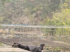 -海阳地雷战旅游区