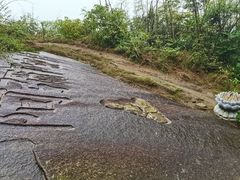 -长沙黑麋峰国家森林公园