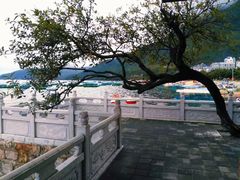 -抚仙湖禄充风景区