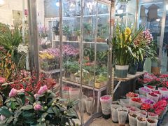 -宝鸡东道花鸟鱼虫市场(吉利花园商场店)