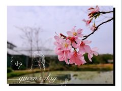 -华南国家植物园-售票处