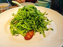 鸡油腊味炒豆苗-潮界(LU·ONE凯德晶萃广场店)