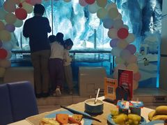 -帝企鹅自助餐厅•儿童岛•真企鹅(长隆企鹅酒店)