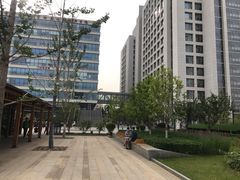 -首都医科大学附属北京潞河医院