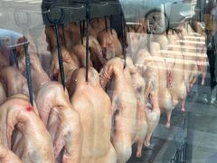 -杨震卤菜旗舰店