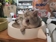 -小时光咖啡馆(北锣鼓巷店)