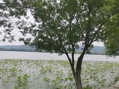 -石湖景区