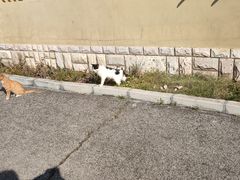 -北京天湖会议中心