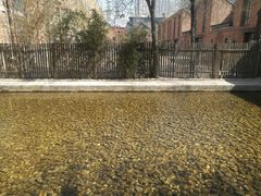 -中国艺术研究院油画院