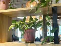 -马家烧麦(中街店)