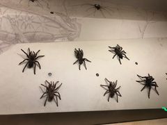 -长江文明馆