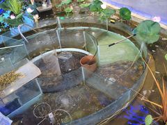 -火福·天湖阁大闸蟹博物馆主题餐厅(浅水湾店)