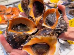 -悦海·家宴·冰花皮皮虾大锅贴(宝龙店)